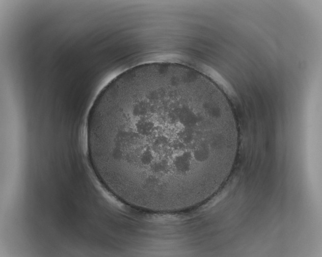 X0000111581079200907161420