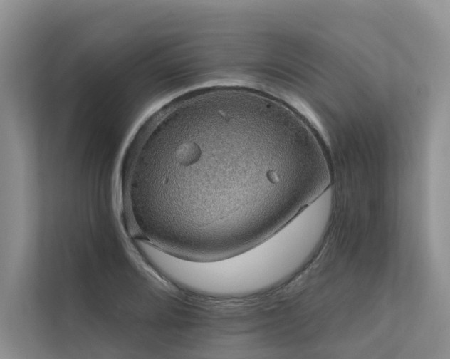 X0000111581080200907161420