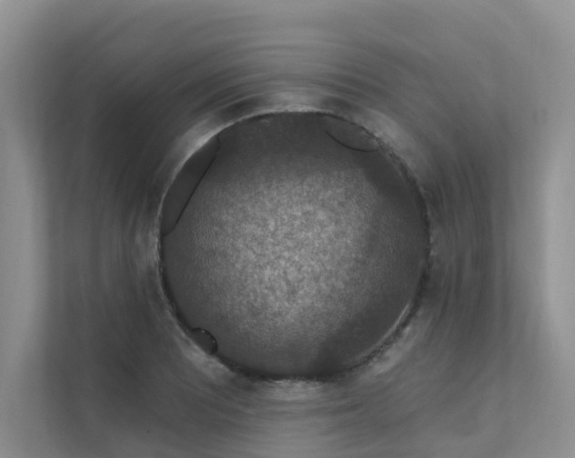 X0000111581081200907161420
