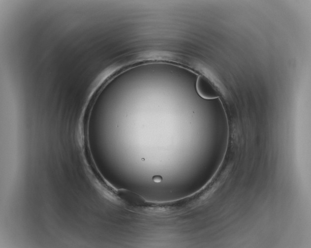 X0000111581082200907161420