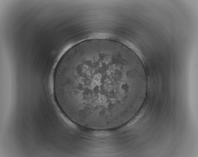 X0000111581083200907161420