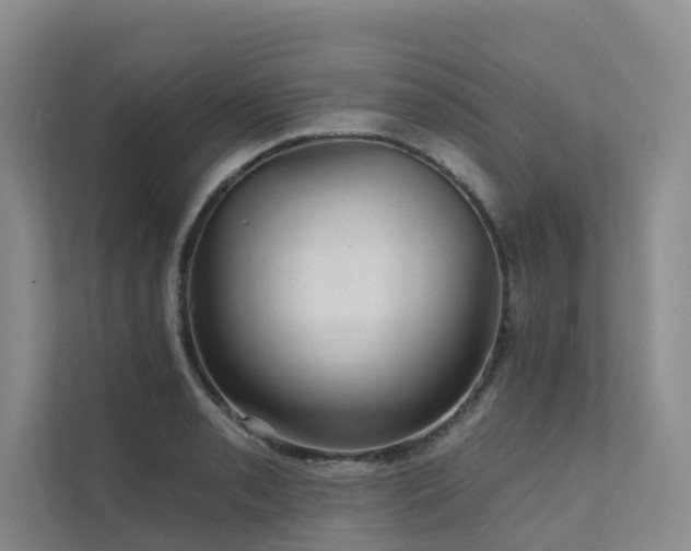 X0000111581085200907161420