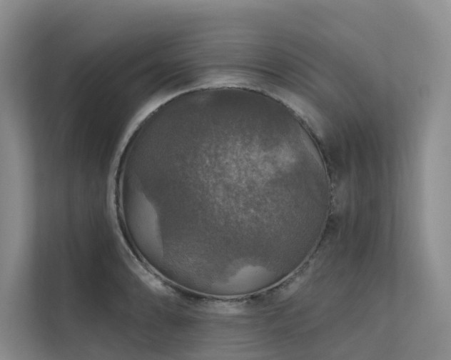 X0000111581086200907161420
