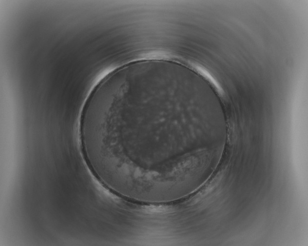 X0000111581087200907161420