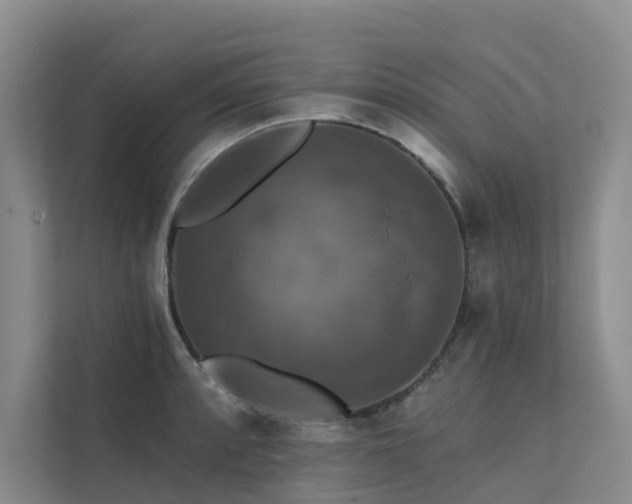 X0000111581088200907161420