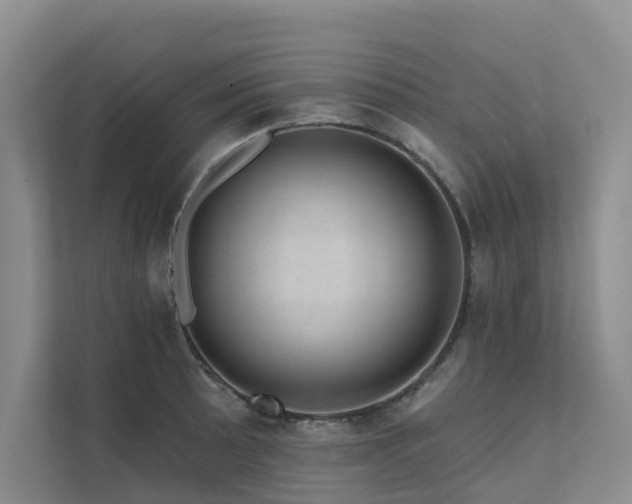 X0000111581089200907161420