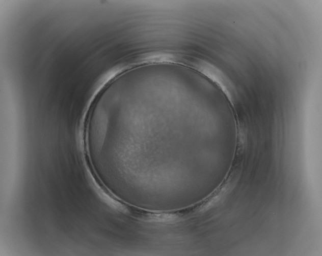 X0000111581090200907161420