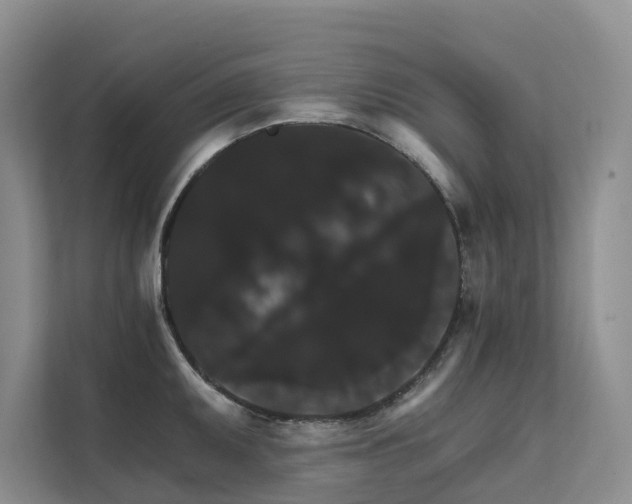 X0000111581095200907161420