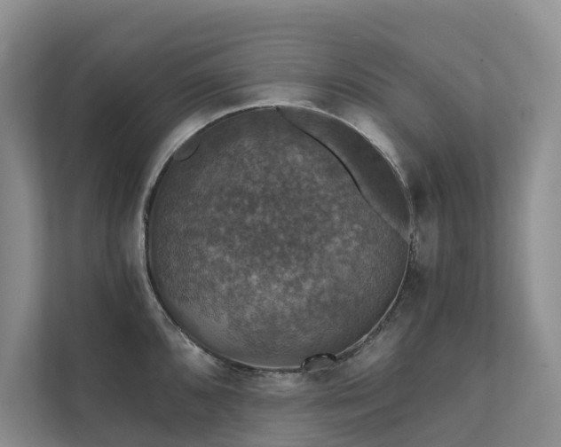 X0000111581096200907161420