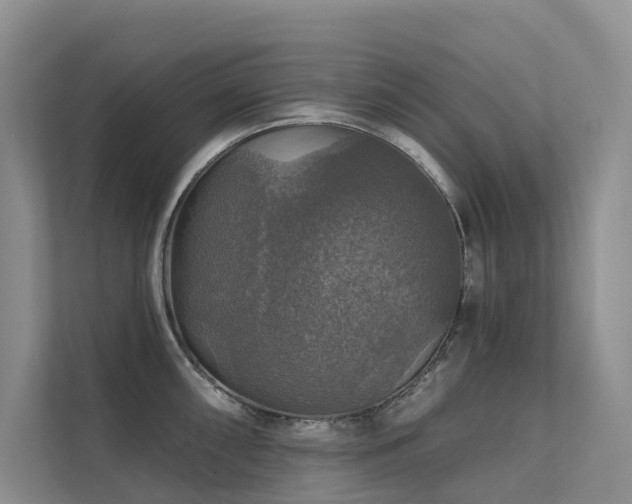 X0000111581098200907161420