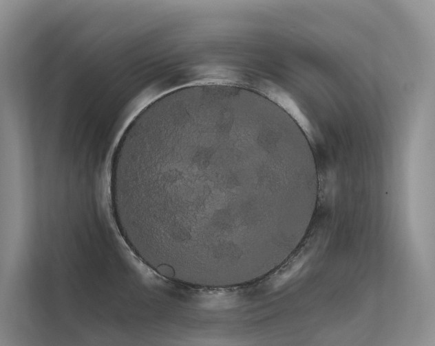 X0000111581099200907161420