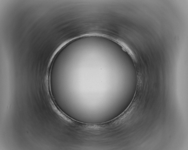 X0000111581100200907161420