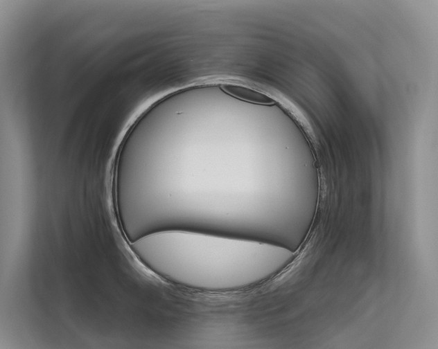 X0000111581102200907161420