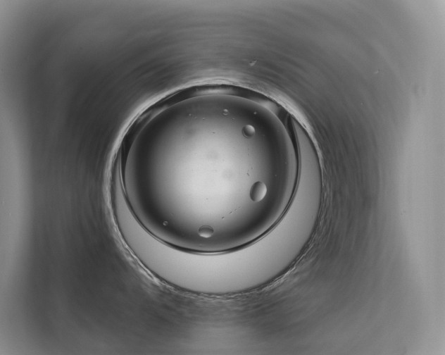 X0000111581104200907161420