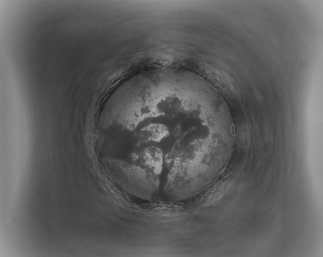 X0000111581105200907161419
