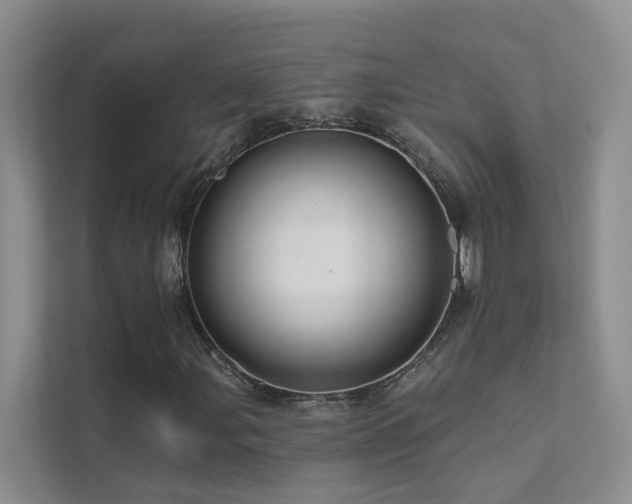 X0000111581107200907161419