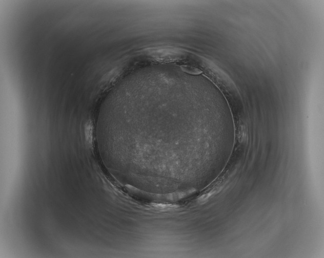 X0000111581108200907161419