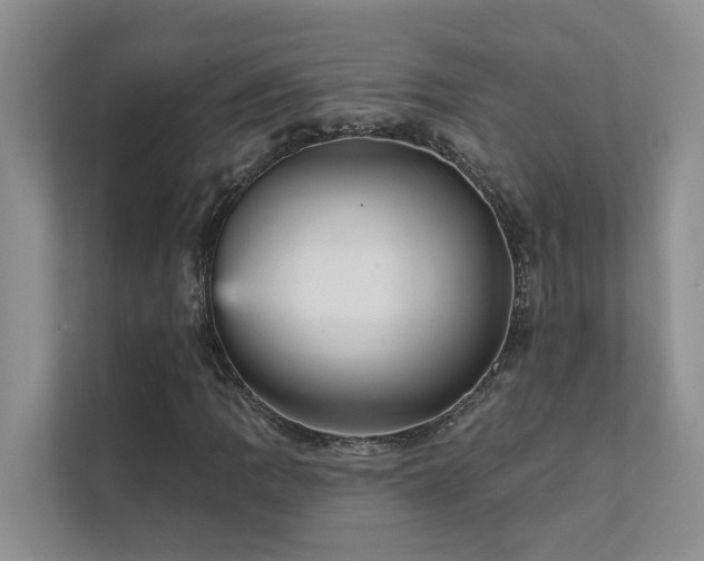 X0000111581109200907161419