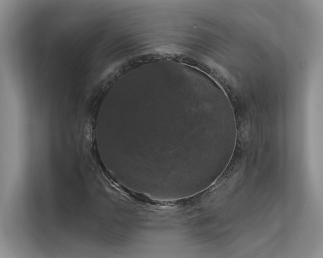 X0000111581110200907161419