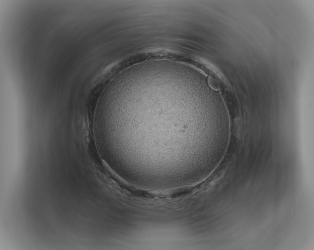 X0000111581111200907161419