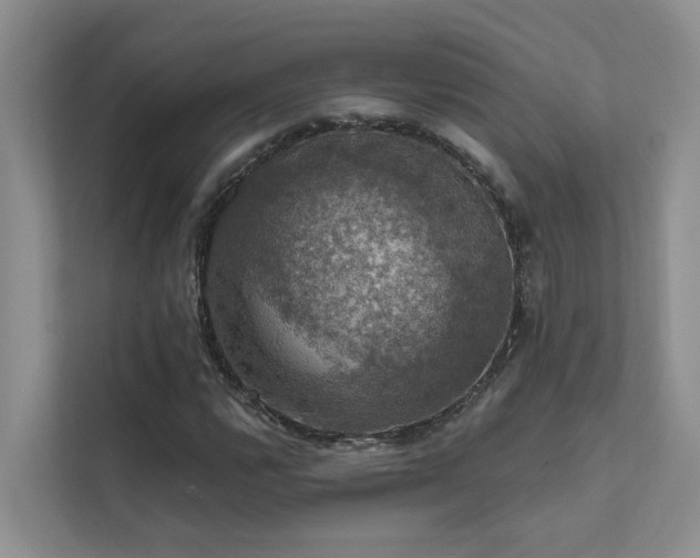 X0000111581112200907161419