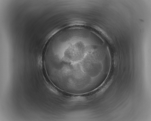 X0000111581113200907161419