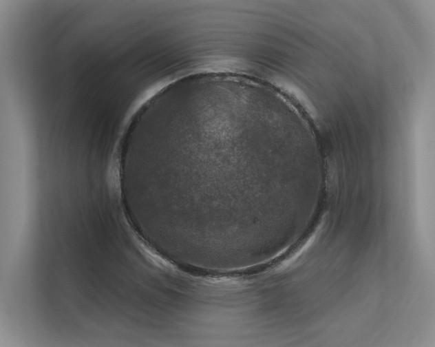 X0000111581114200907161419