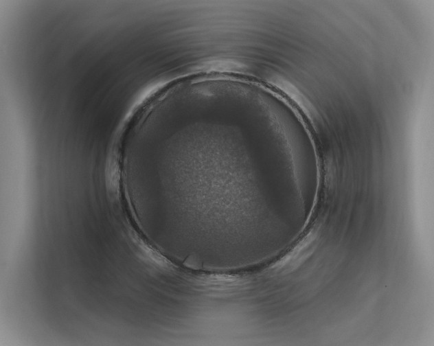 X0000111581115200907161419