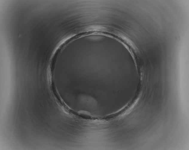 X0000111581117200907161419