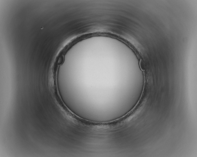 X0000111581118200907161419