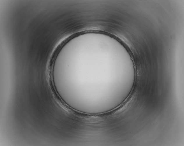 X0000111581119200907161419