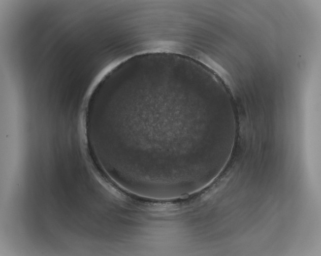 X0000111581120200907161419
