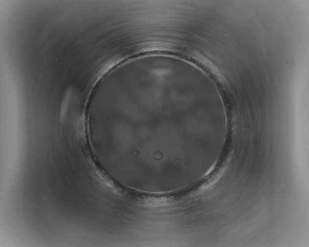 X0000111581121200907161419