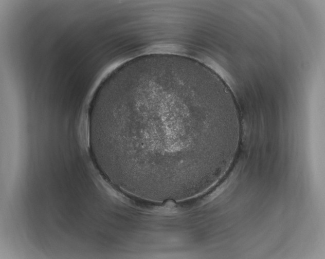 X0000111581123200907161419