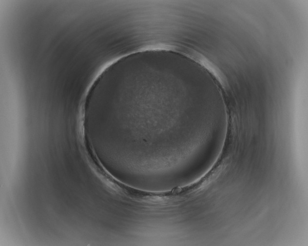 X0000111581124200907161419