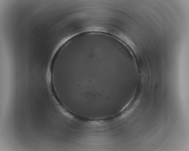 X0000111581125200907161419