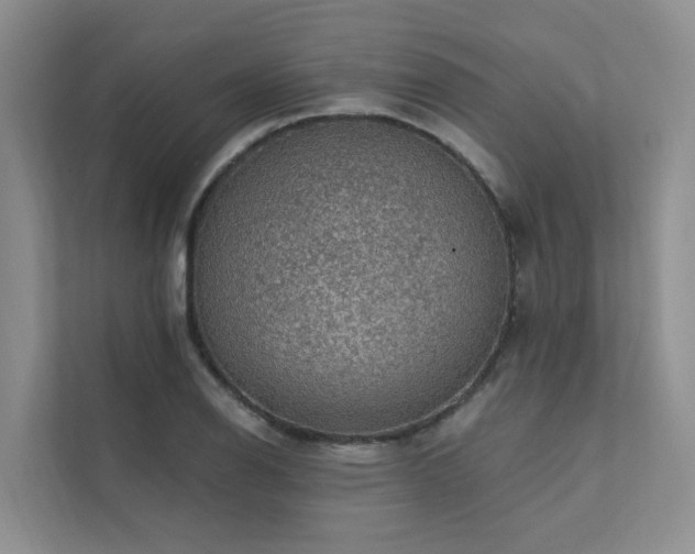 X0000111581126200907161419