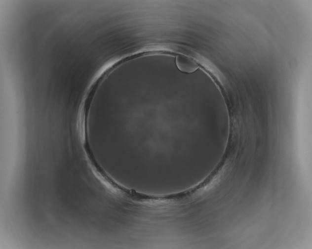 X0000111581127200907161419