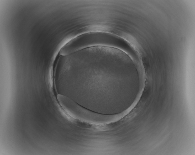 X0000111581128200907161419