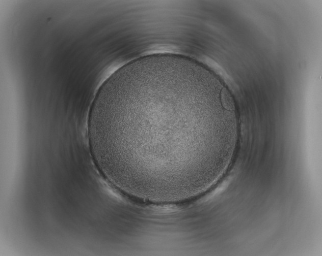 X0000111581129200907161419