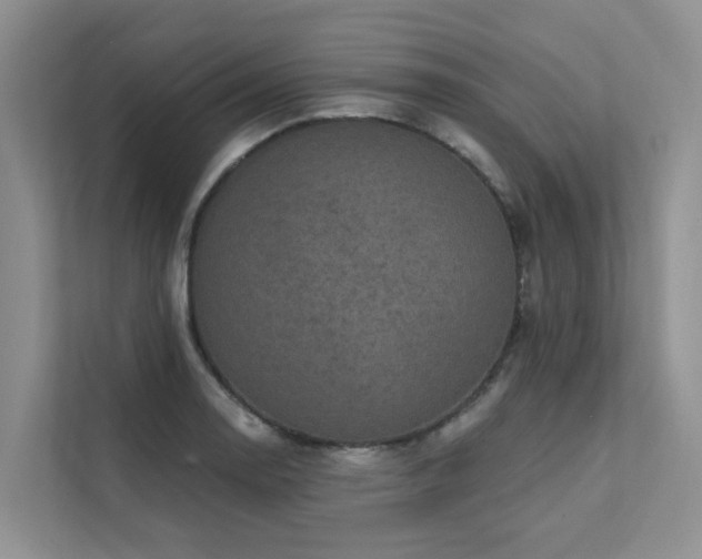 X0000111581130200907161419