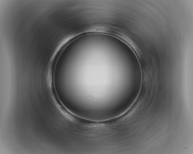 X0000111581131200907161419