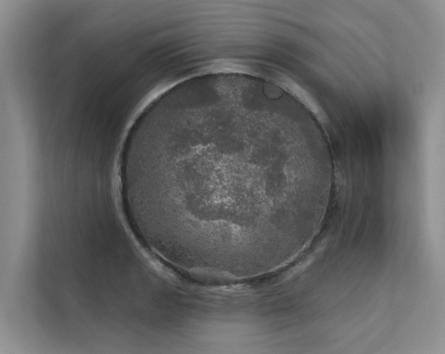 X0000111581133200907161419