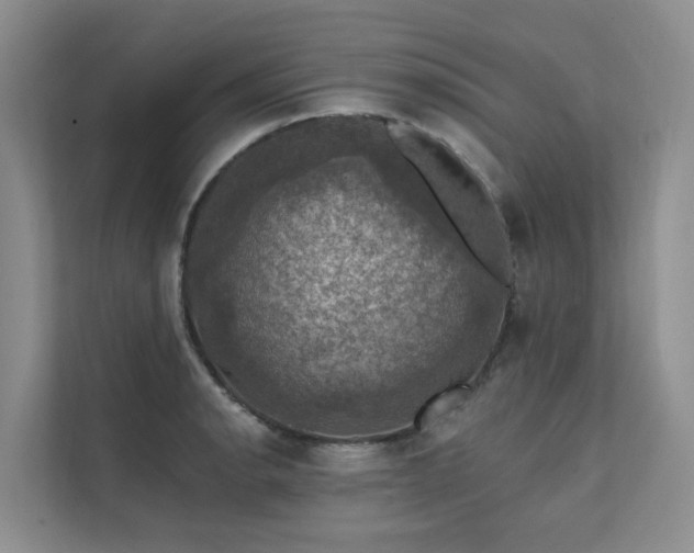 X0000111581134200907161419