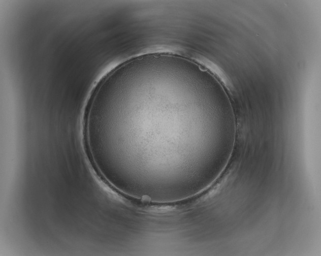 X0000111581135200907161419