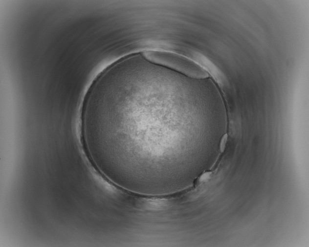 X0000111581136200907161419