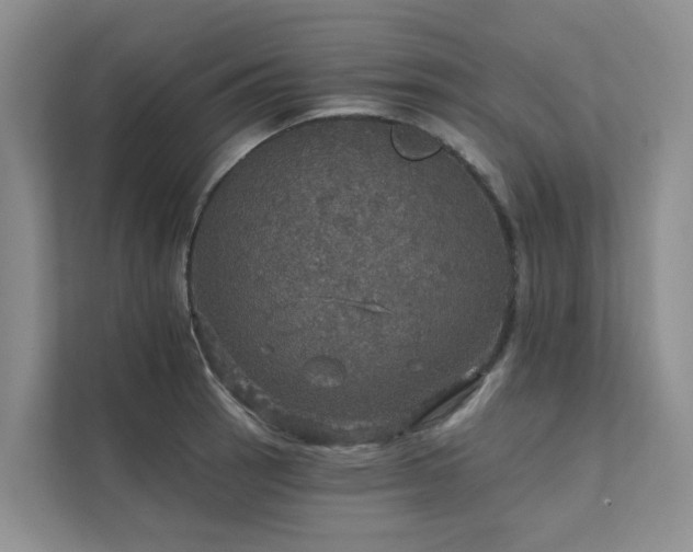 X0000111581137200907161419