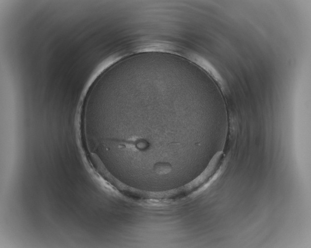 X0000111581138200907161419