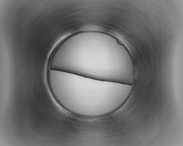 X0000111581139200907161419