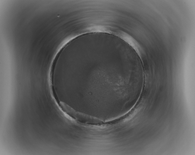 X0000111581141200907161419